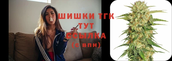 сатива Вязьма