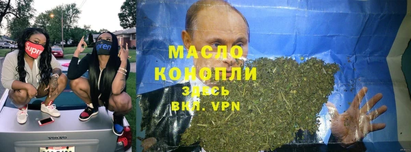 гидра Ельня