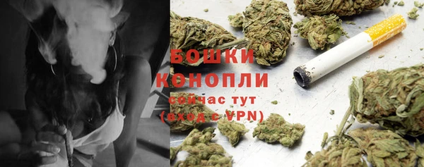 mdpv Волоколамск