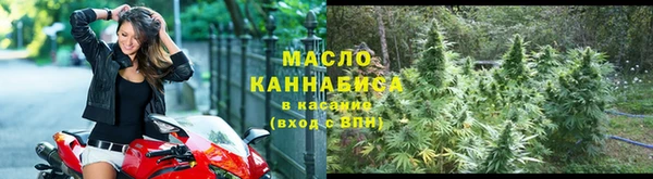 сатива Вязьма