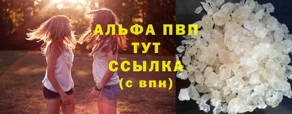сатива Вязьма