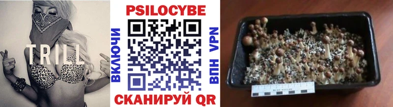 Псилоцибиновые грибы мицелий  Дзержинский 